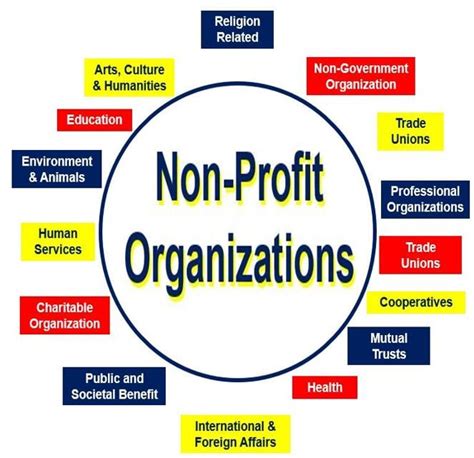 examples of non profit organization rolex